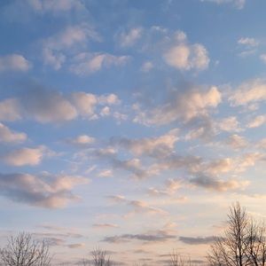 Meet your Posher, Isabella